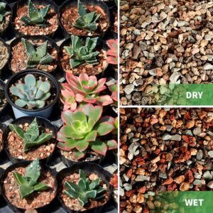 Jowlawn Mix Horticultural Lava Rock Pebbles - 2.7lb Pumice Potting Soil Amendment for Succulents Cactus Plants, Gritty Rocks Decorative Gravel Plant Drainage for Terrarium Potted Plants