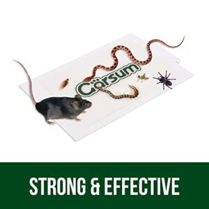 Garsum Sticky Mouse Trap, Peanut Butter Scent Glue Traps, Heavy Duty Pest Board Insect Spider Mice, Extra Strength Trampas para Ratones Indoor for Home, 10/20/40/80 Packs