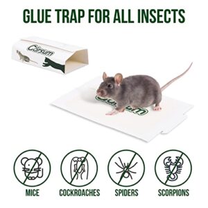 Garsum Sticky Mouse Trap, Peanut Butter Scent Glue Traps, Heavy Duty Pest Board Insect Spider Mice, Extra Strength Trampas para Ratones Indoor for Home, 10/20/40/80 Packs