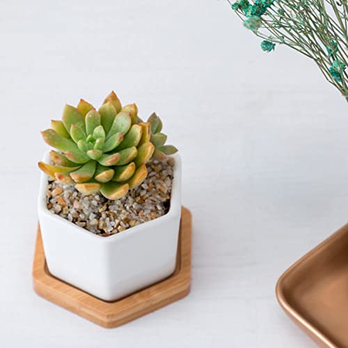 Yardwe 4 Sets Succulents Table Hexagon Plant Containers with Arrangement Balcony Ceramic Center Planter Saucer Pot Desktop Gardening Bonsai Bamboo Pots Decorative Decoration Hole Tray