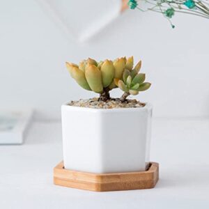 Yardwe 4 Sets Succulents Table Hexagon Plant Containers with Arrangement Balcony Ceramic Center Planter Saucer Pot Desktop Gardening Bonsai Bamboo Pots Decorative Decoration Hole Tray