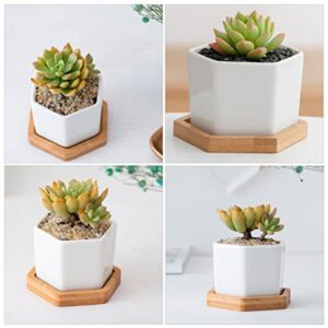 Yardwe 4 Sets Succulents Table Hexagon Plant Containers with Arrangement Balcony Ceramic Center Planter Saucer Pot Desktop Gardening Bonsai Bamboo Pots Decorative Decoration Hole Tray