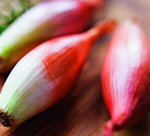 RAISE ME UP: Seeds Red Banana Shallot Onion Non GMO Heirloom