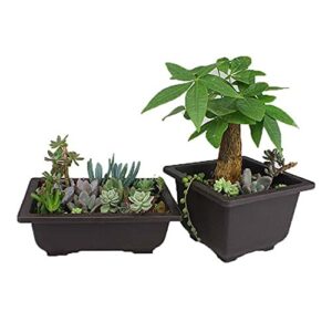 Plastic Bonsai Pots, Square Nursery Pots Retro Planters Plants Growing Pots, Garden Supplies Succulents Home Decoration Pots(Rectangle L)