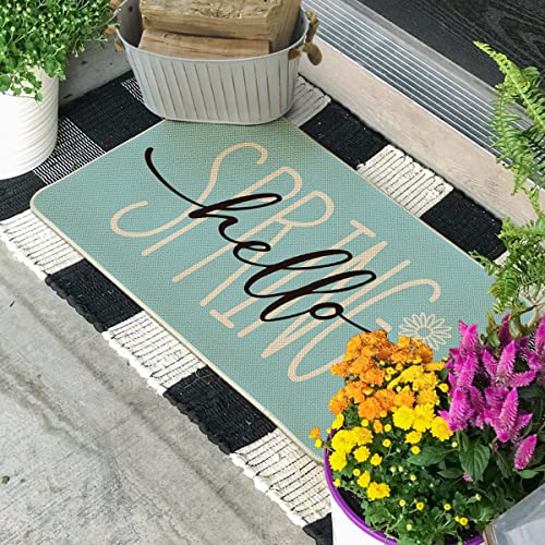 Artoid Mode Blue Hello Spring Daisy Welcome Decorative Doormat, Seasonal Low-Profile Rug Switch Mat for Indoor Outdoor 17x29 Inch