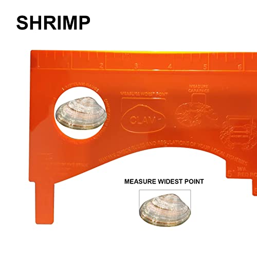 PLIS Dungeness Crab Gauge Measure Multi Shrimp Clam Measuring Tool for Oregon, Washington and California (Orange)