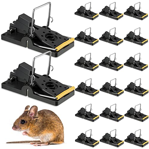 18 Pcs Large Mouse Trap Instant Snap Rat Mice Traps for House Indoor Outdoor Easy Setup Spring Mouse Snap Trap Quick Effective Sanitary Mousetrap Catcher Safe for Your Home Family Pet, Black