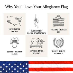 Allegiance Flag Supply 3' x 5' American Flag | American-Sourced Nylon Fabric, Embroidered Stars, Hand-Stitched | Proudly Made in USA