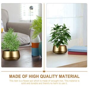 Happyyami All Golden Tool Modern Living Pot Decorative Room Simple Desktop Plan Patio Home Iron Decor Bonsai Wedding Garden Gardening Hole Cactus House Table Flower Metal Flowers Plant