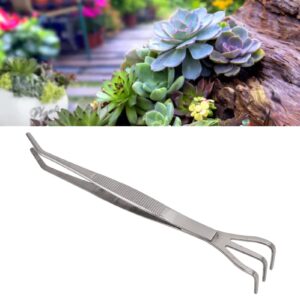 Bonsai Root Rake, 3Prong Nonslip Stainless Steel Root Rake, Ergonomic Handle for Loose Soil for Potted Plant (Bent)