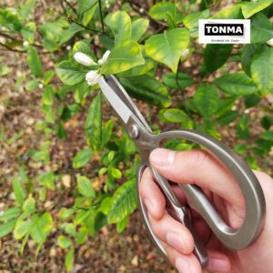 TONMA Herb Scissors (Made in Japan) All Steel Heavy Duty Pruning Shears for Gardening, Japanese Garden Scissors with Ergonomic Handle Good As Plant Cutters, Bonsai Trimmers, Flower Clippers Loppers