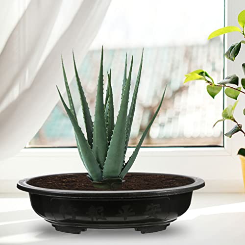 Yardwe Office Decor 4pcs Plastic Planter Oval Bonsai Training Pots with Drainage Hole Deep Flower Container Succulent Growing Pots for Garden Home Balcony Nursery Decor Black Outdoor Decor