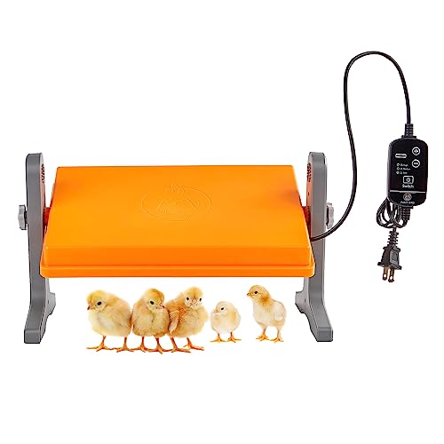 Fuzzy Bird Chick Brooder (12''*8'') Brooder Heater for Chicks Ducks and Birds Incubation Heating Keep Chicks Warm Newly Upgraded Temperature Adjustable Height Adjustable Chick Heating Plate-Orange