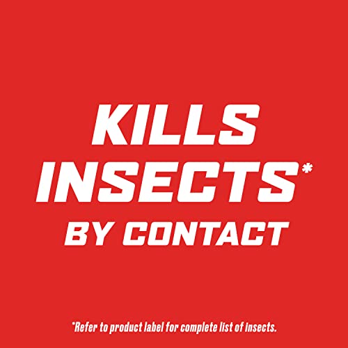 Ortho Outdoor Insect Killer Concentrate Kills Listed Ants, Spiders, Fleas & Ticks, 32 fl. oz.