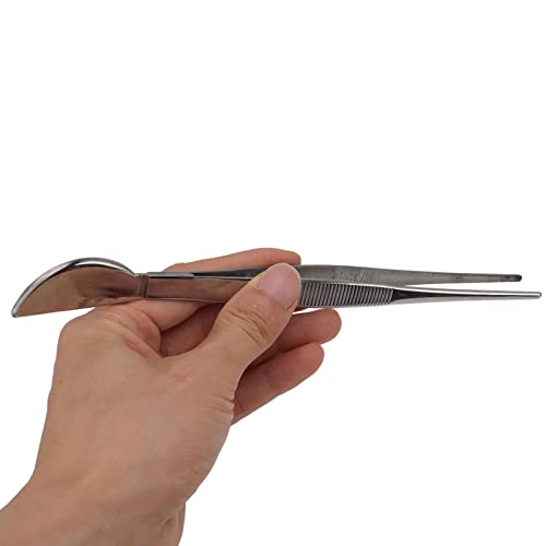 Bonsai Tweezers Bonsai Tweezers Tweezers for Bonsai Bonsai Tool Stainless Steel Bonsai Tweezers Tweezers with Moon Spatula Head for Potted Loosening (Straight)