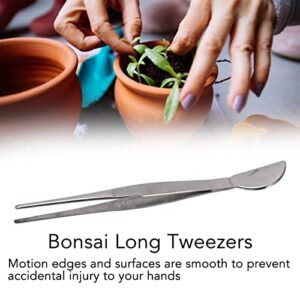 Bonsai Tweezers Bonsai Tweezers Tweezers for Bonsai Bonsai Tool Stainless Steel Bonsai Tweezers Tweezers with Moon Spatula Head for Potted Loosening (Straight)