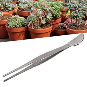 Bonsai Tweezers Bonsai Tweezers Tweezers for Bonsai Bonsai Tool Stainless Steel Bonsai Tweezers Tweezers with Moon Spatula Head for Potted Loosening (Straight)