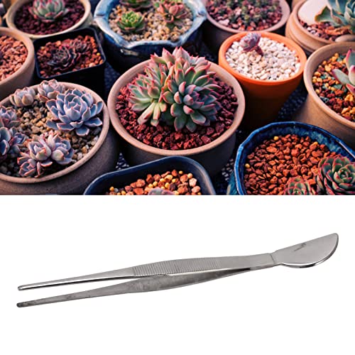 Bonsai Tweezers Bonsai Tweezers Tweezers for Bonsai Bonsai Tool Stainless Steel Bonsai Tweezers Tweezers with Moon Spatula Head for Potted Loosening (Straight)