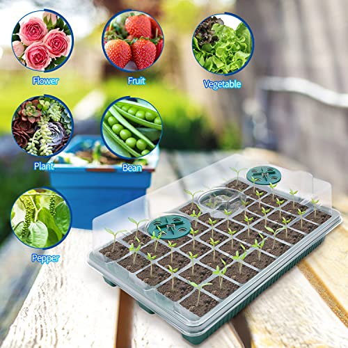FGBNM 80 Cells Seed Starter Trays with Grow Light, Seed Starter Kit with Adjustable Brightness & Humidity for Indoor Seed Growing Starting, 78in Timing Controller