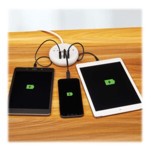 Tripp Lite Safe-IT 30W Surge Protector, 2 Outlets & 2 USB + 1 USB-C Port for Fast Charging, 300 Joules, 6 Foot 5-15P Cord, Manufacturer's Warranty & $25,000 Insurance (TLP26PD30WCAM)