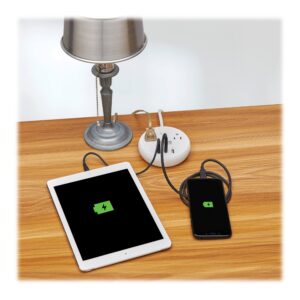 Tripp Lite Safe-IT 30W Surge Protector, 2 Outlets & 2 USB + 1 USB-C Port for Fast Charging, 300 Joules, 6 Foot 5-15P Cord, Manufacturer's Warranty & $25,000 Insurance (TLP26PD30WCAM)