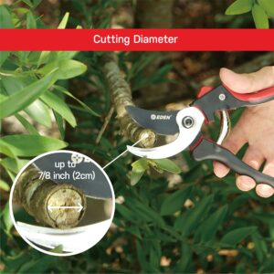 Eden Professional Sharp Bypass Pruning Shears, Tree Trimmers Secateurs,Hand Pruner, Garden Shears,Clippers For Garden, Bonsai Cutters (Model# 39001)