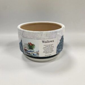 Wallowa Flowerpots, Ceramic Succulent Planter/ Plant Pot/ Flower Pot/ Bonsai Pot