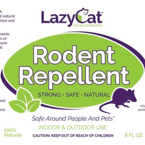 Humane Mouse Trap & Mouse Repellent Kit; Live Mouse Trap Catch and Release Kid Safe & Pet Safe Easy Set for Small Rodents Sensitive Trigger Plus Peppermint Oil Mice Repellent Spray – Reusable Indoor