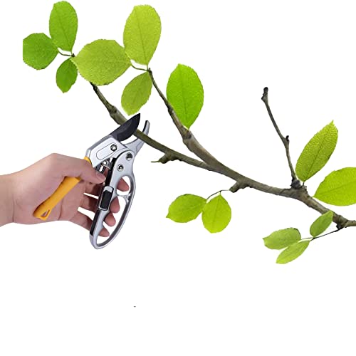 Holyfire Garden Shears, Pruning Shears for Gardening, Garden Clippers for Trimming Rose, Floral, Tree, Yellow-1Pc