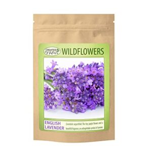 English Lavender Flower Seeds for Planting - Over 3,000 Premium Seeds - Attracts Pollinators - Non GMO