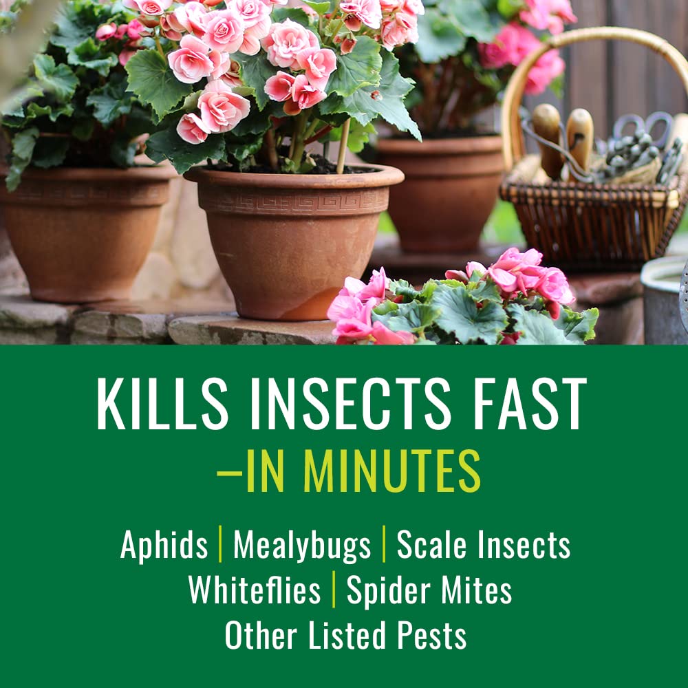 Natria Houseplant Insect Killer, Ready-to-Use, 24 oz
