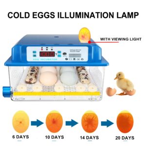 Vevitts 16 Eggs Incubators for Hatching Egg with Automatic Turner, Fahrenheit Temperature Control Chickens Quail Egg Incubator with Led Candler, 12V/110V/220V Incubators Kit for Farm Poultry