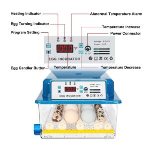 Vevitts 16 Eggs Incubators for Hatching Egg with Automatic Turner, Fahrenheit Temperature Control Chickens Quail Egg Incubator with Led Candler, 12V/110V/220V Incubators Kit for Farm Poultry