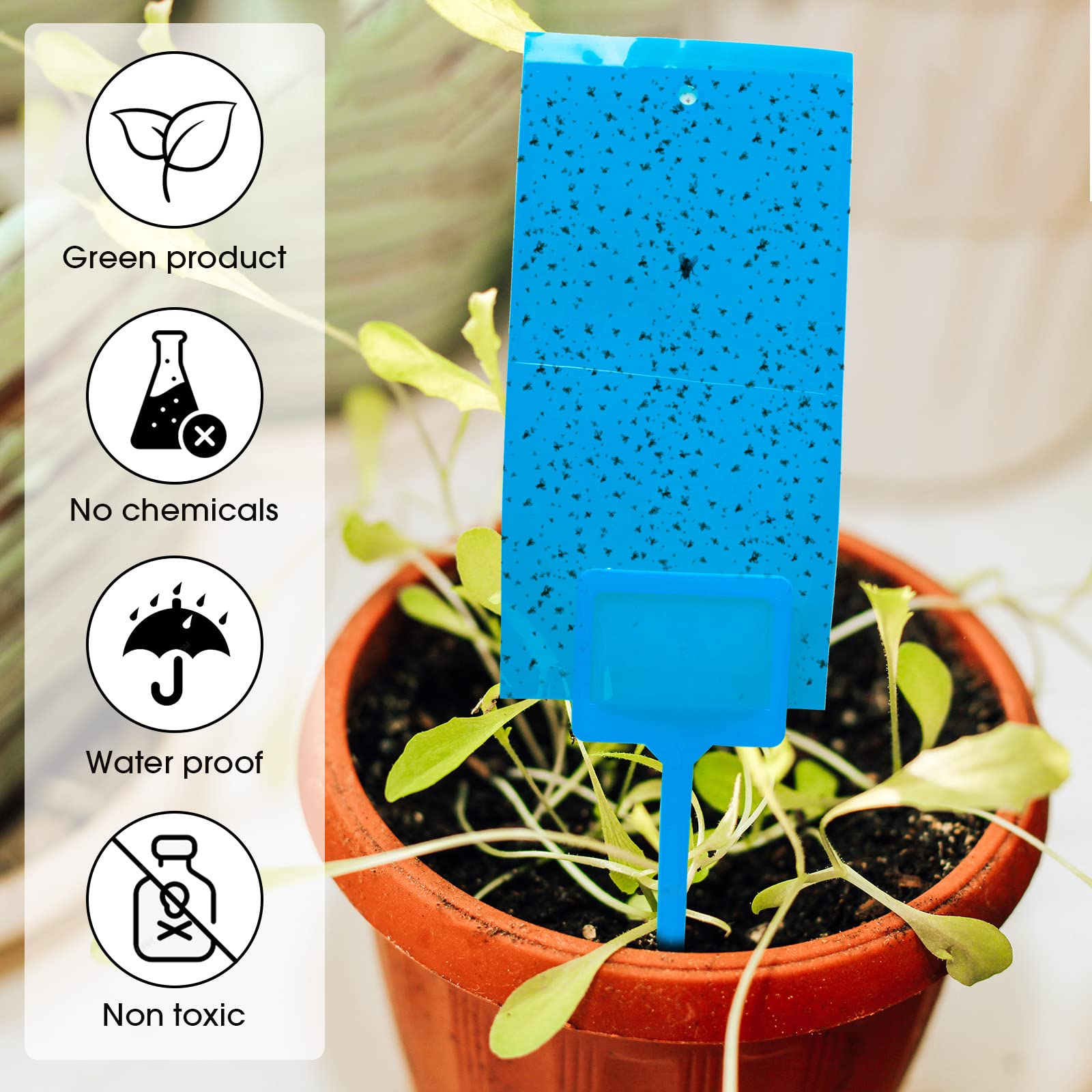 220 Pcs Double Sided Sticky Traps Gnat Killer for Flying Plant Insect Indoor Outdoor Such as Fungus Gnats, Whiteflies, Aphids, Include 200 Twist Ties and 20 Holders, 7.9 x 4 Inches (Blue)