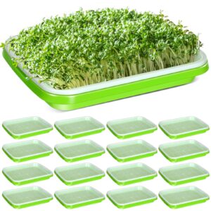 eaasty 16 pcs seed sprouter tray with drain holes seed germination propagation trays healthy wheatgrass microgreens growing trays beans nursery sprouting tray(12.2 x 9.06 x 1.77 inch, without lid)