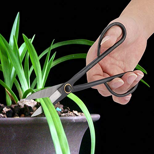 Cyrank Multifunctional Bonsai Scissors, 205mm Long Handle Scissors Stainless Steel for Pruning Shear Bud Leaves, Bonsai Trimming Tool Garden Equipment Set