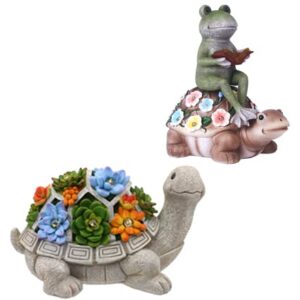 a bundle of turtle and frog riding turtle