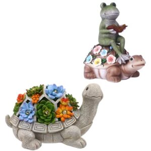 A Bundle of Turtle and Frog Riding Turtle