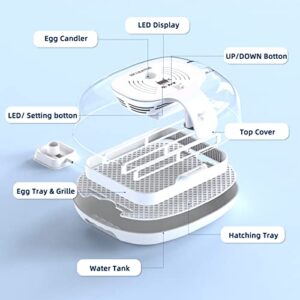 Egg Incubator, 16 Incubators for Hatching Eggs with Automatic Egg Turning, Egg Candler and Automatic Water Adding for Hatching Chickens, Ducks, Goose, Quails & 4 Wooden Eggs