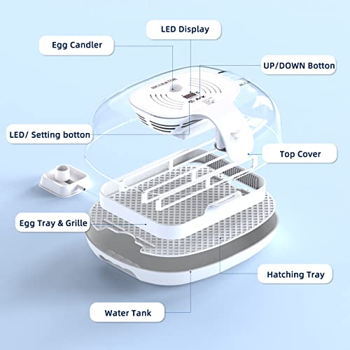 Egg Incubator, 16 Incubators for Hatching Eggs with Automatic Egg Turning, Egg Candler and Automatic Water Adding for Hatching Chickens, Ducks, Goose, Quails & 4 Wooden Eggs