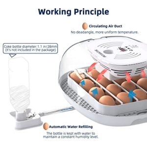 Egg Incubator, 16 Incubators for Hatching Eggs with Automatic Egg Turning, Egg Candler and Automatic Water Adding for Hatching Chickens, Ducks, Goose, Quails & 4 Wooden Eggs