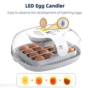 Egg Incubator, 16 Incubators for Hatching Eggs with Automatic Egg Turning, Egg Candler and Automatic Water Adding for Hatching Chickens, Ducks, Goose, Quails & 4 Wooden Eggs