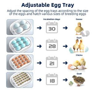 Egg Incubator, 16 Incubators for Hatching Eggs with Automatic Egg Turning, Egg Candler and Automatic Water Adding for Hatching Chickens, Ducks, Goose, Quails & 4 Wooden Eggs