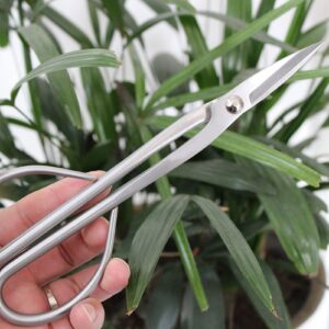 Bonsai Pruning Scissor, Professional Plant Trimming Scissor Ergonomic Handle Stainless Steel Rust Proof Wearable for Potted for Gardening for Leaf Sprout