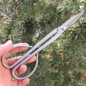 Bonsai Pruning Scissor, Professional Plant Trimming Scissor Ergonomic Handle Stainless Steel Rust Proof Wearable for Potted for Gardening for Leaf Sprout