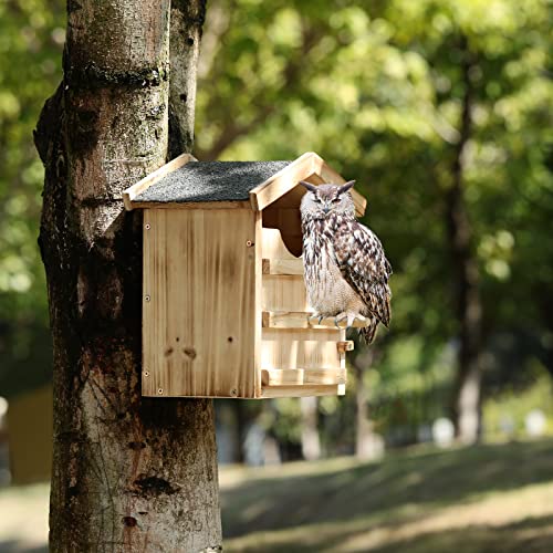 Owl House Prebuilt Owl Box for Outside Screech Owl House with Bird Stand Houses Owls & Kestrels Large Handmade Wooden Rectangular Opening Bird Box with Mounting Screws Easy Assembly