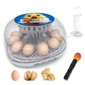 egg incubator