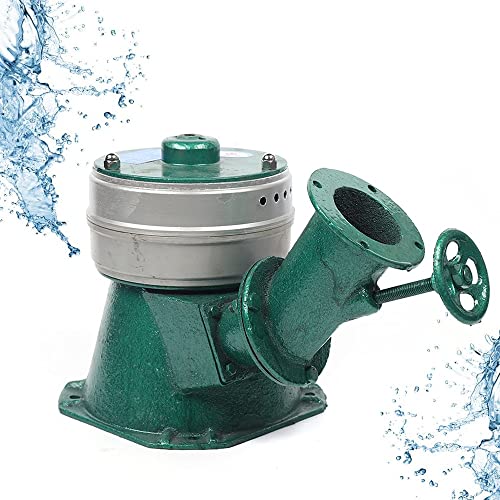 Hydro Generator Micro Hydro Water Turbine Generator US Plug for Household Lighting TV Electric Furnace 110V (600W)