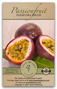 gaea's blessing seeds - passion fruit seeds - heirloom non-gmo seeds with easy to follow instructions - passiflora edulis 90% germination rate