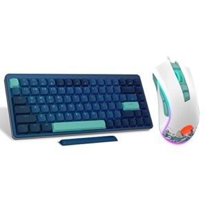 COSTOM XVX L75 Wireless Mechanical Keyboard & Wired Gaming Mouse